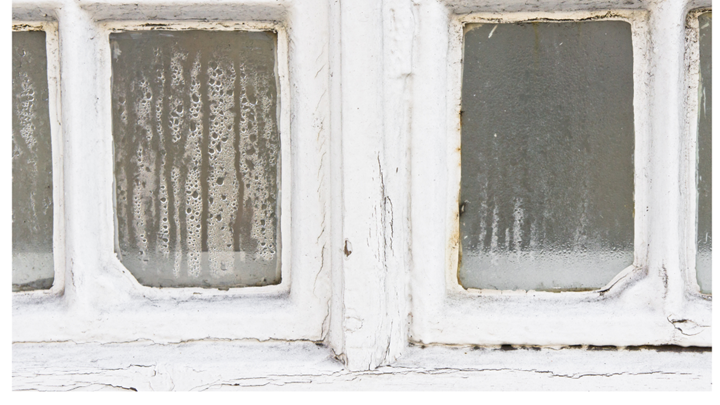 replacement window company in Kansas City 