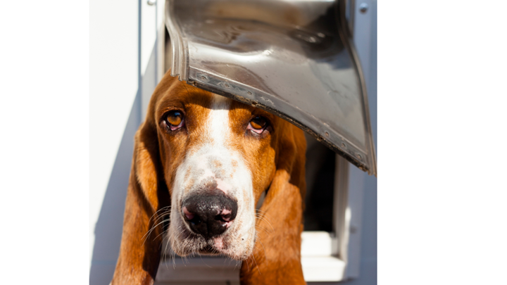 Door Installation Company in Kansas City